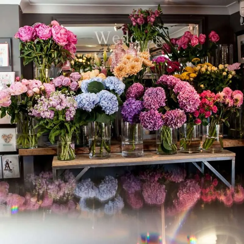 Plants and greenery gifts from Alderley Flowers